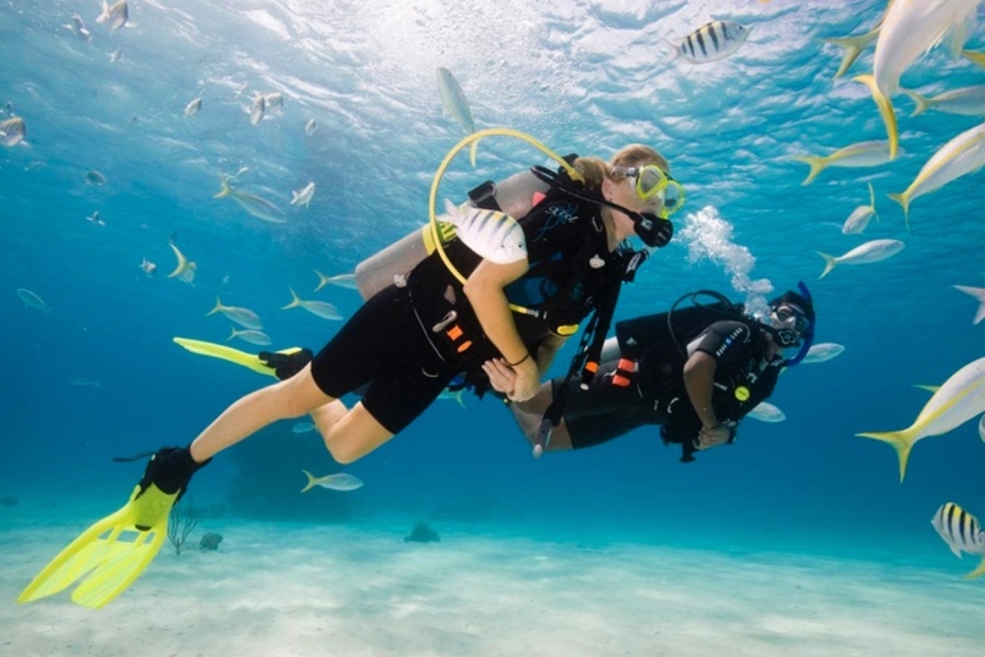 RCI Scuba Diving Certification.jpeg